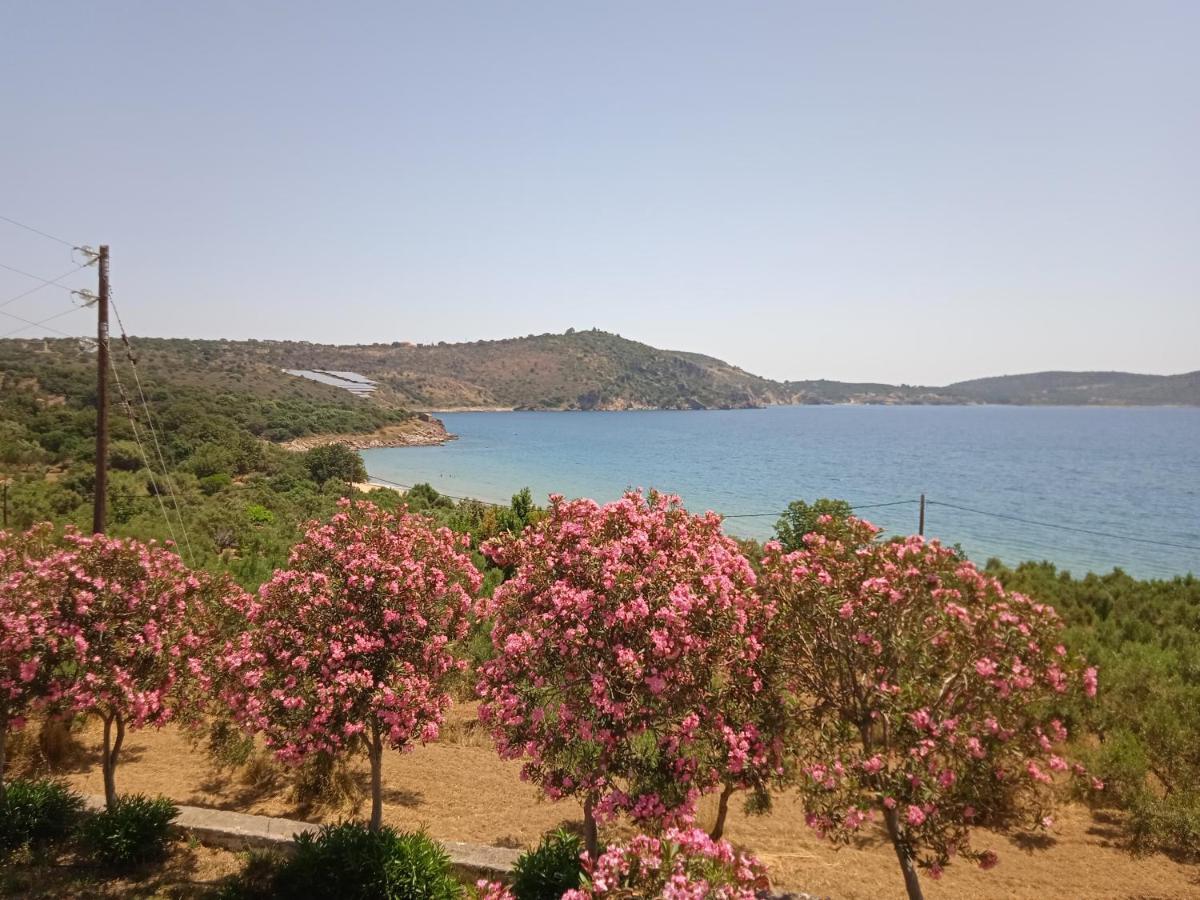Skoutari Beach Hotel Esterno foto