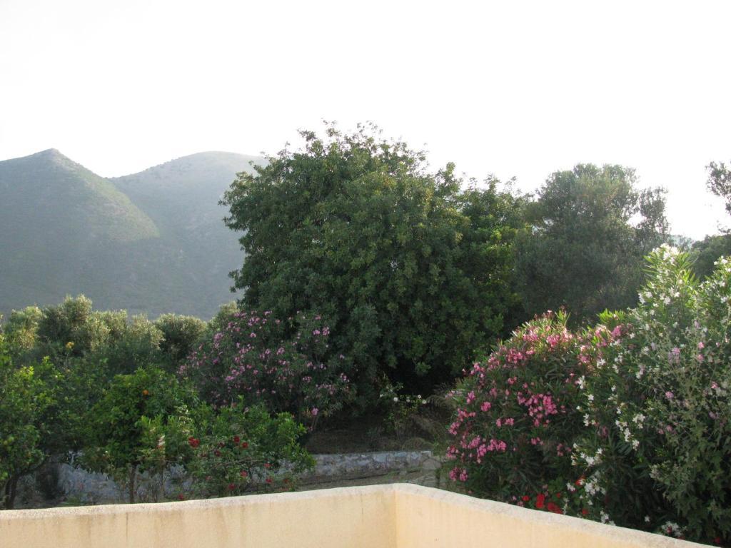 Skoutari Beach Hotel Camera foto